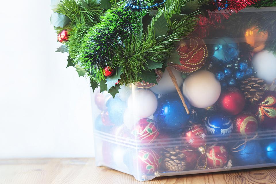 When should you take your tree down?
