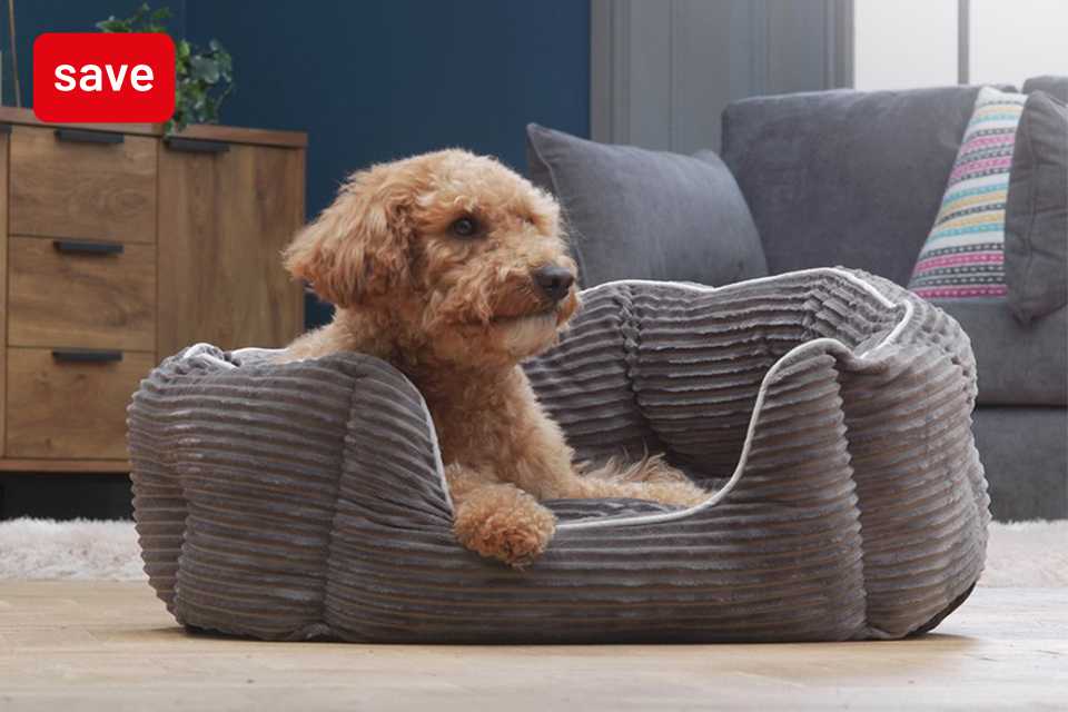 Save up to 1/3 on selected petcare. Savings for your furry friends.