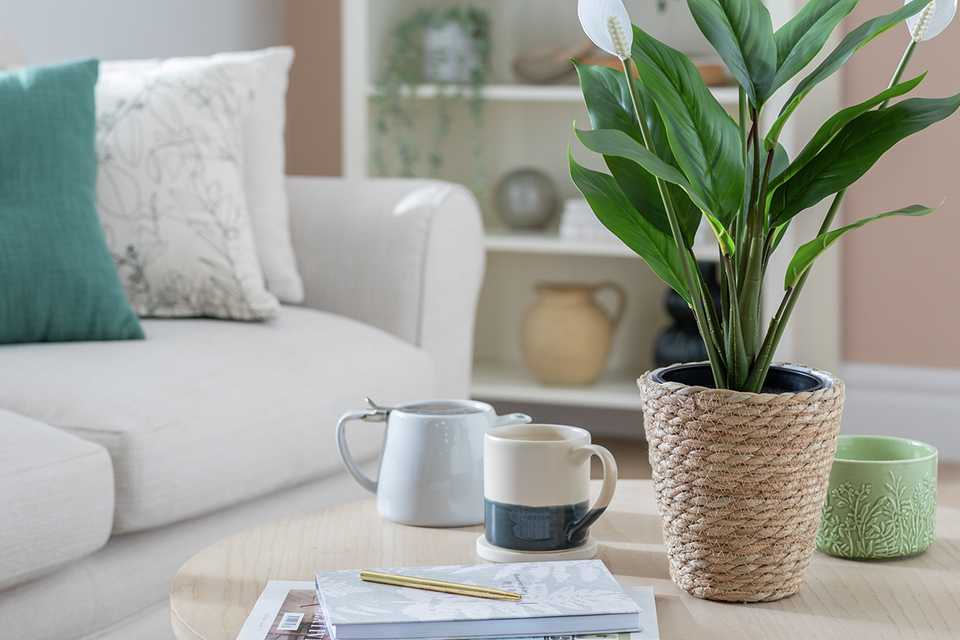 Habitat Artificial White Large Peace Lily Plant - 51cm.