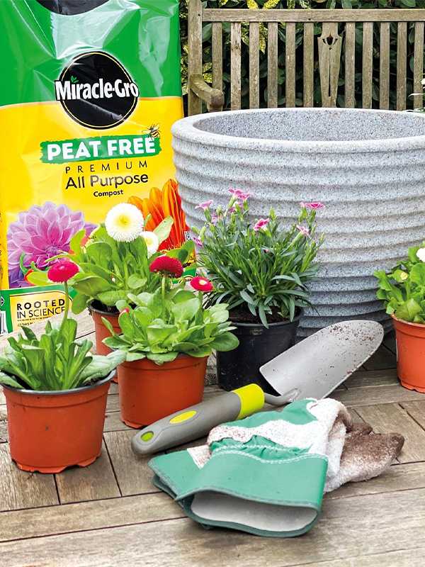 Ready, steady, grow! Get ready to sow and grow.