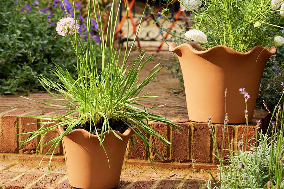 Habitat Scalloped 21cm Clay Planter – Small.