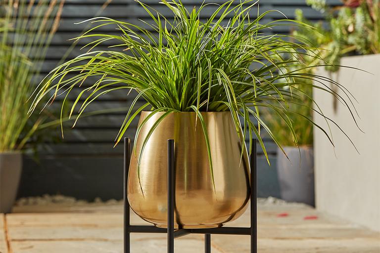 Garden decoration ideas.