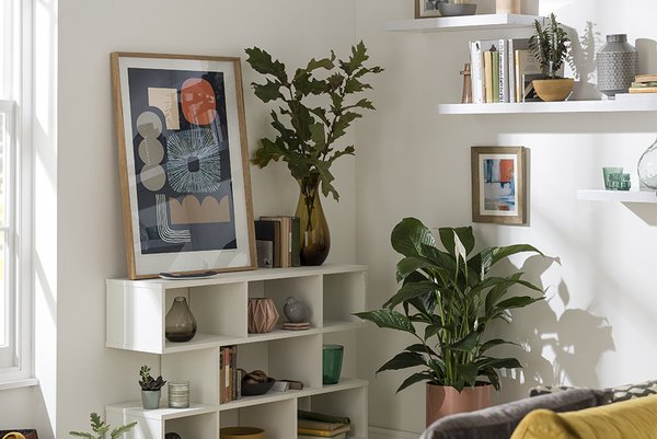 A white living room with a cube style bookcase and lots of plant and gallery decor.