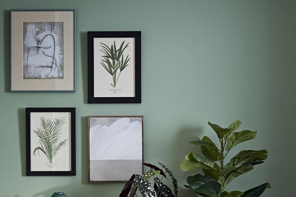 Four modern and botanical prints arranged on a green wall above plants in mismatched frames.