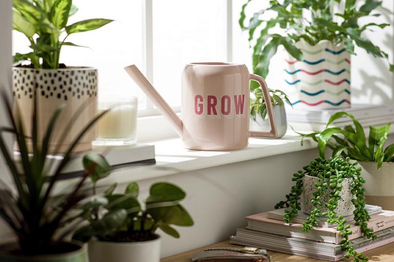 A window sill with lots of small indoor plants and a mini pale pink watering can.