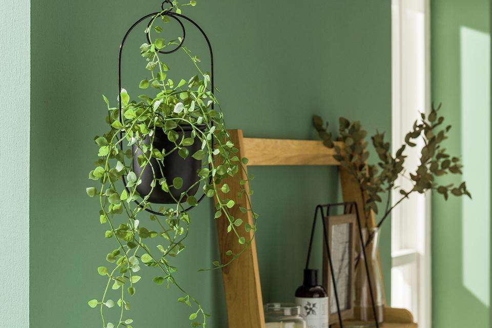 A trailing plant in a black hanging planter beside a wooden ladder shelf.
