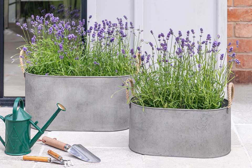 Ivyline Outdoor Galvanised Rope Handle Trough - Set of 2.