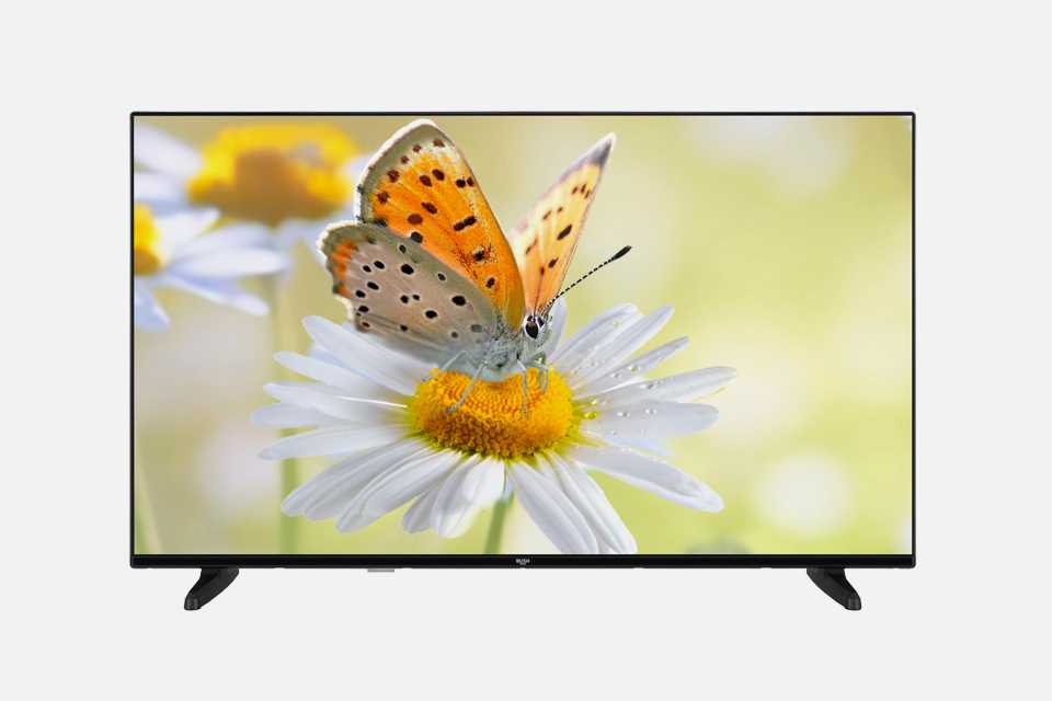 Bush 4K TV with butterfly on a flower screensaver.