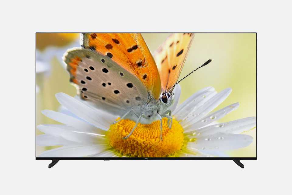 Bush QLED TV with butterfly on a flower screensaver.