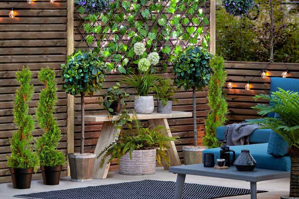 Small garden design using wall trellises and varying plant heights.