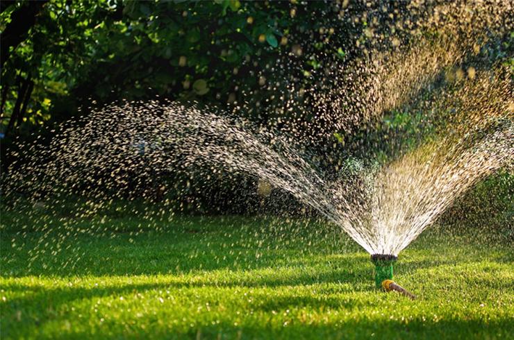 How to save water in your garden.
