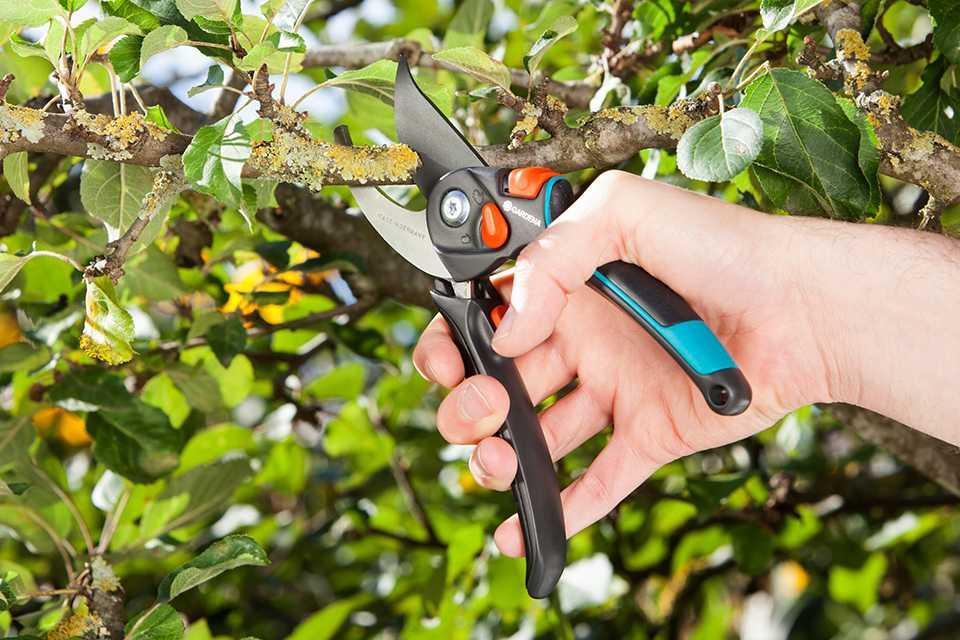 The Gardena Bypass Secateurs being used to cut a branch.