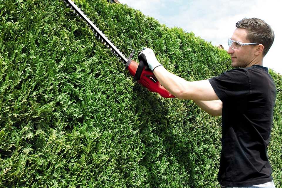 A man using a 230V Einhell corded hedge trimmer to trim a hedge.