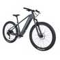 Adult E bikes.