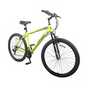 Adult mountain bikes.