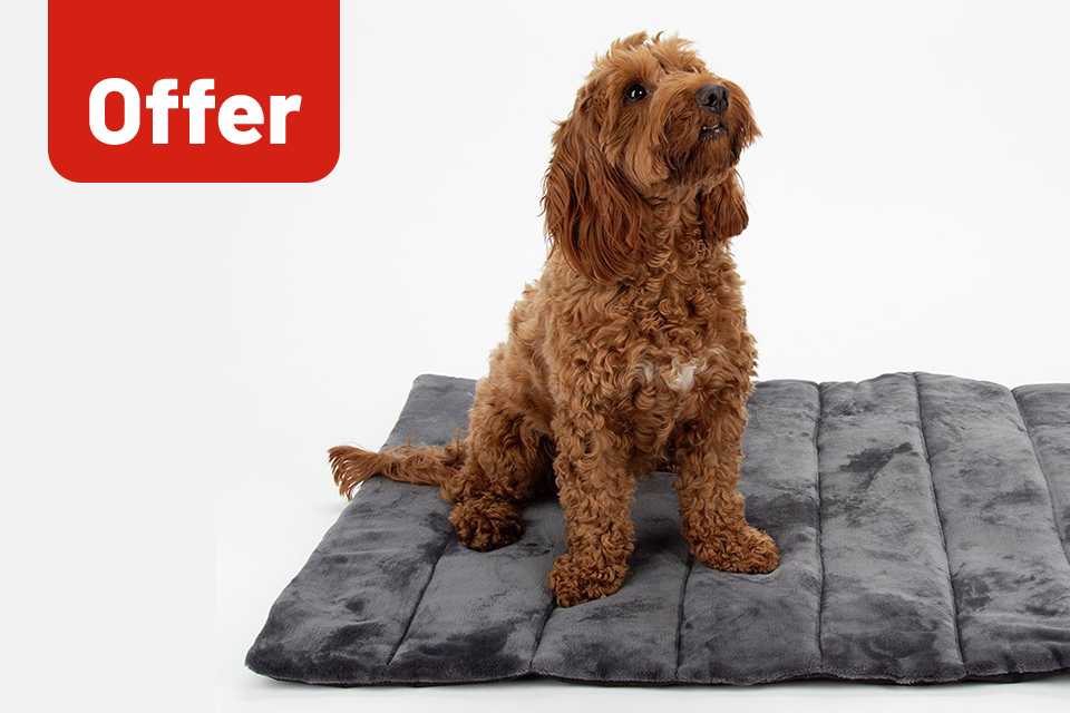 Save up to 25% on selected pet care. Including essentials from beds to travel.