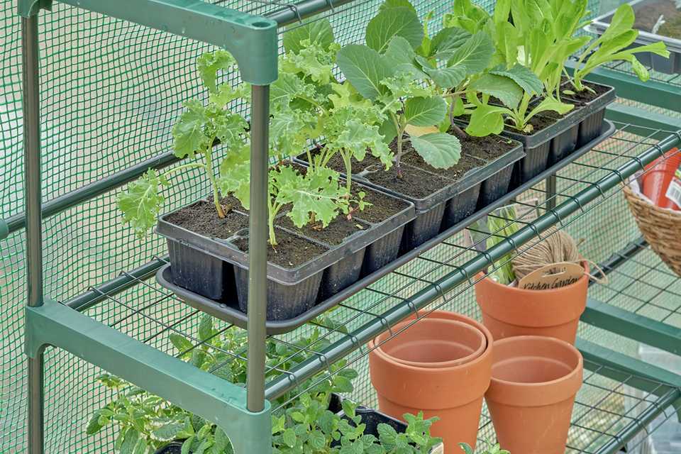 McGregor Greenhouse Shelving twin pack.