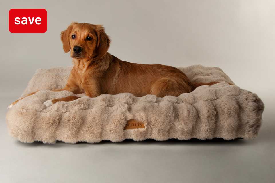 Save up to 30% on selected pet care. Savings for your furry friends.