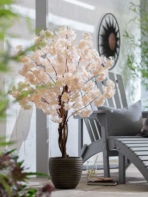 How to decorate your garden.
