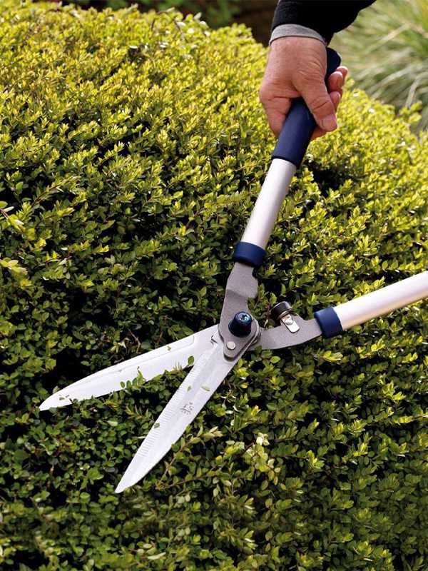 Spear & Jackson Razorsharp Hand Shears.