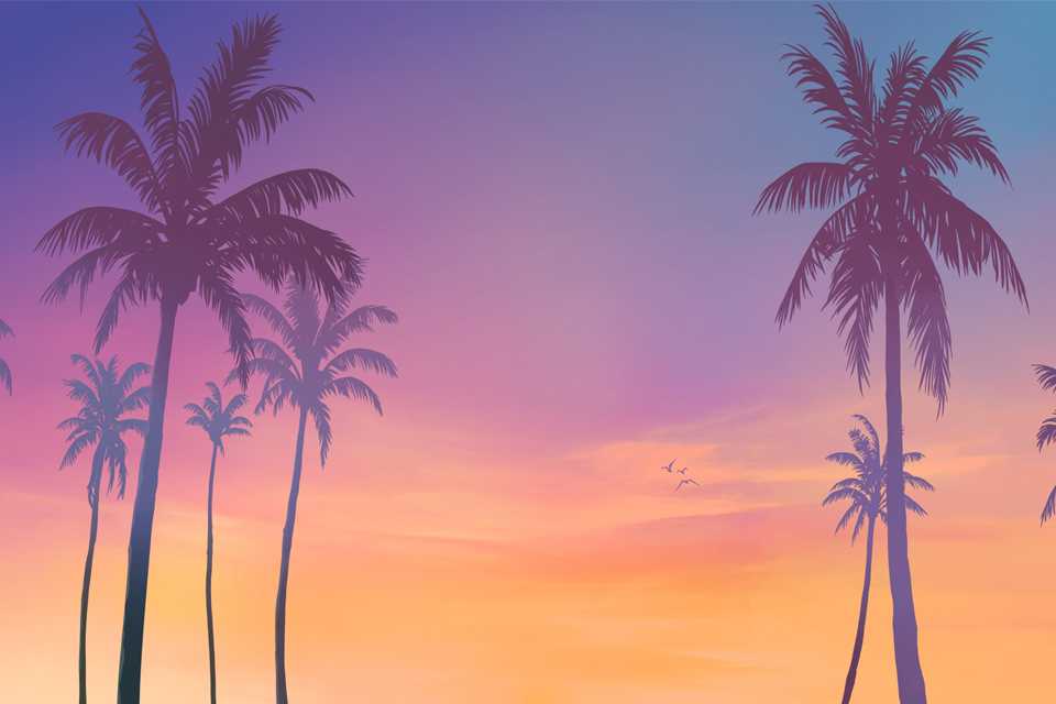 Background image of a sunset and palm trees from GTA 6 branding.