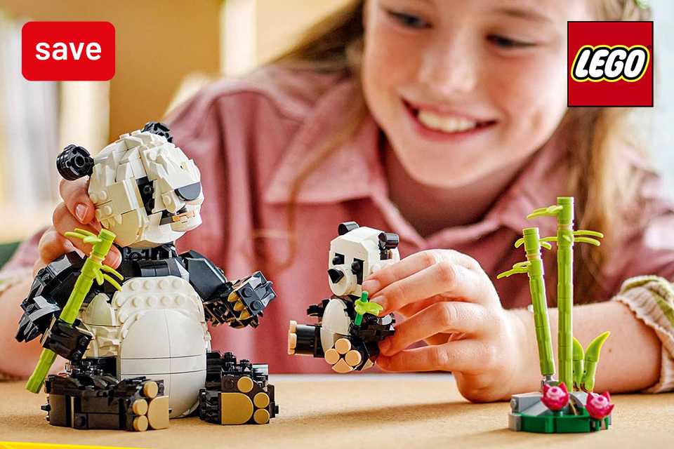 Save up to 20% on selected LEGO® sets. Build more this Spring.