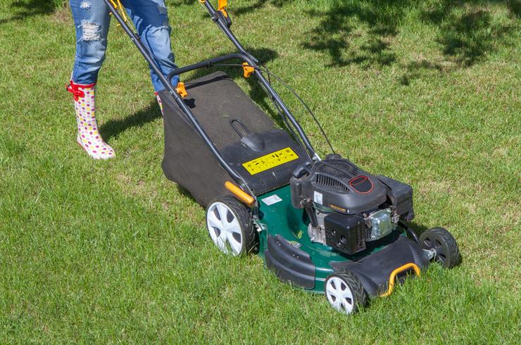 Lawn care tips at Argos.