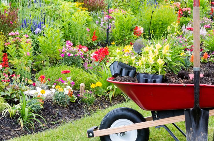 Spring Gardening.