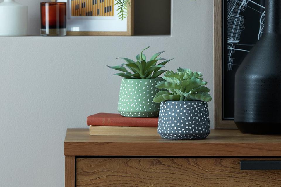 Home & garden offers.