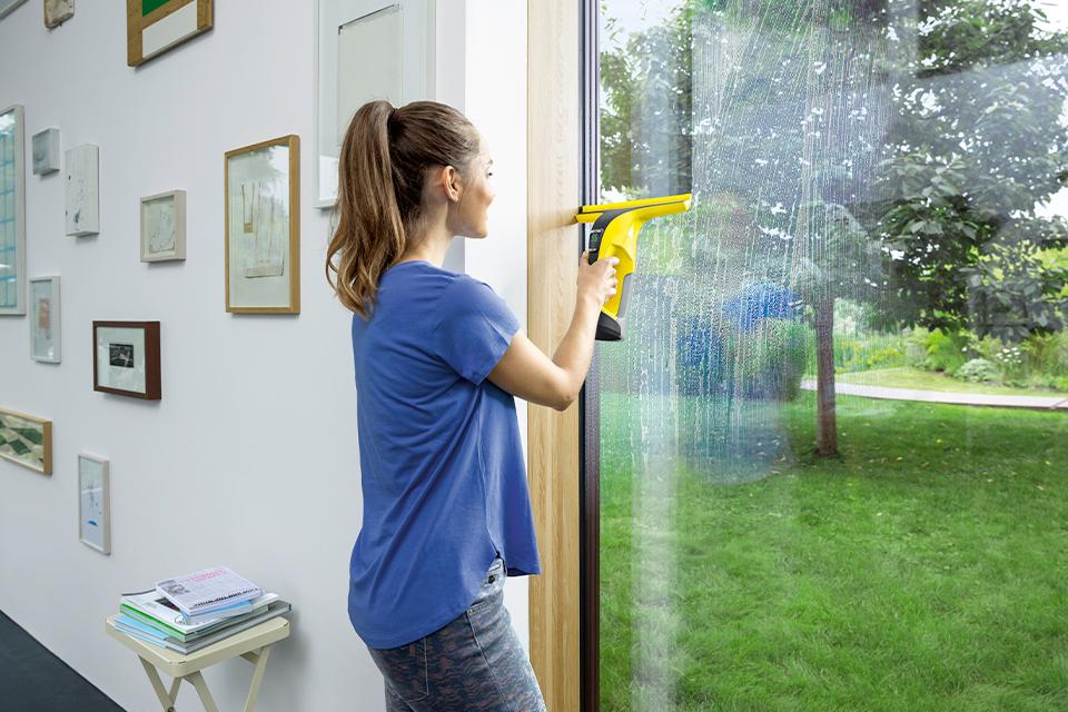Window vacuums.