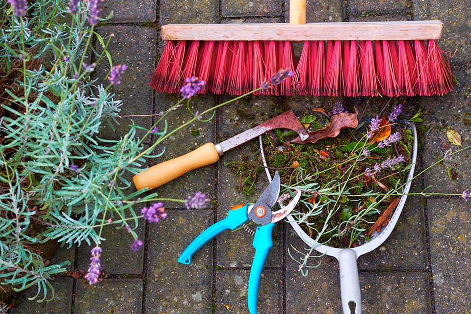 Gardening tools on pavement.