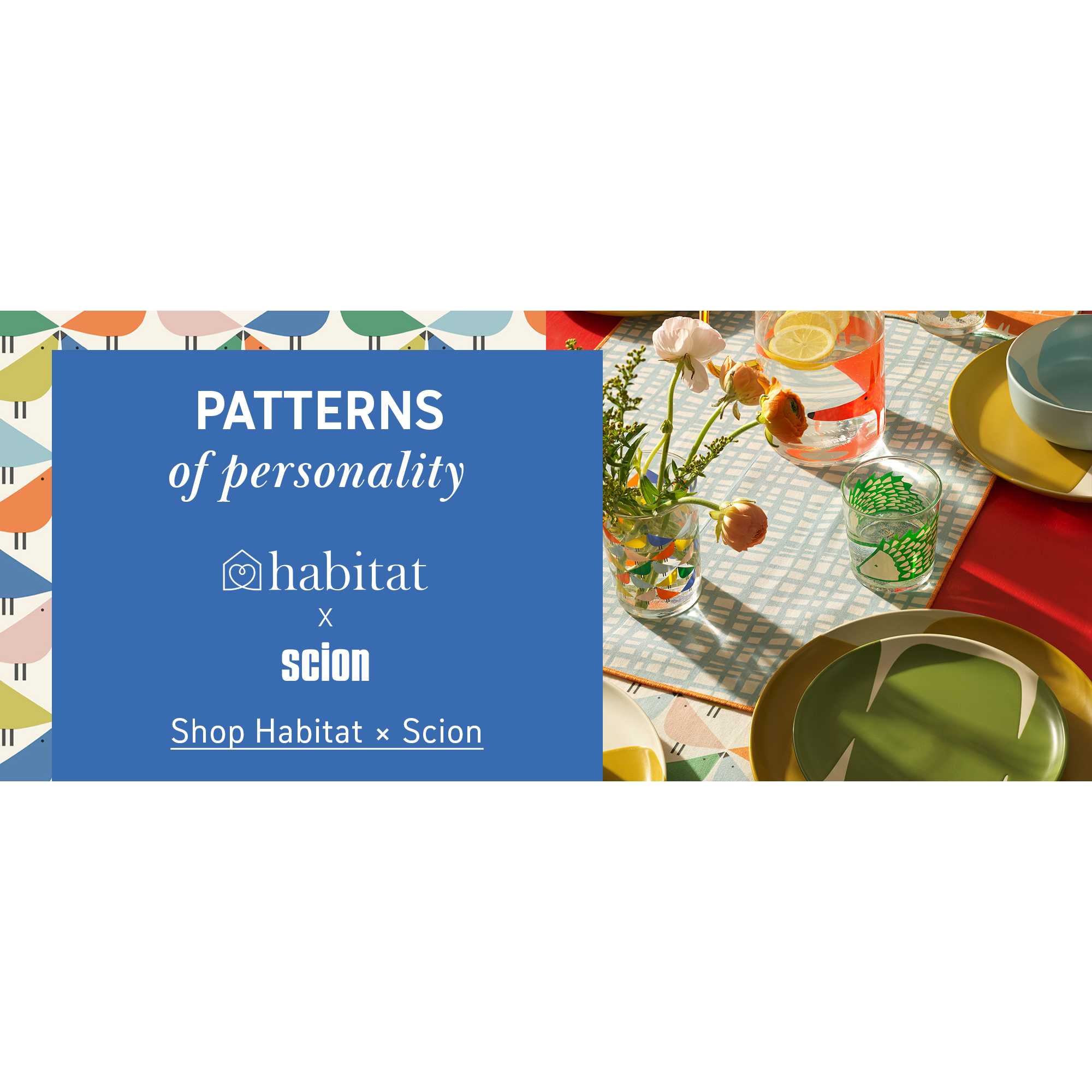 Shop Habitat x Scion.