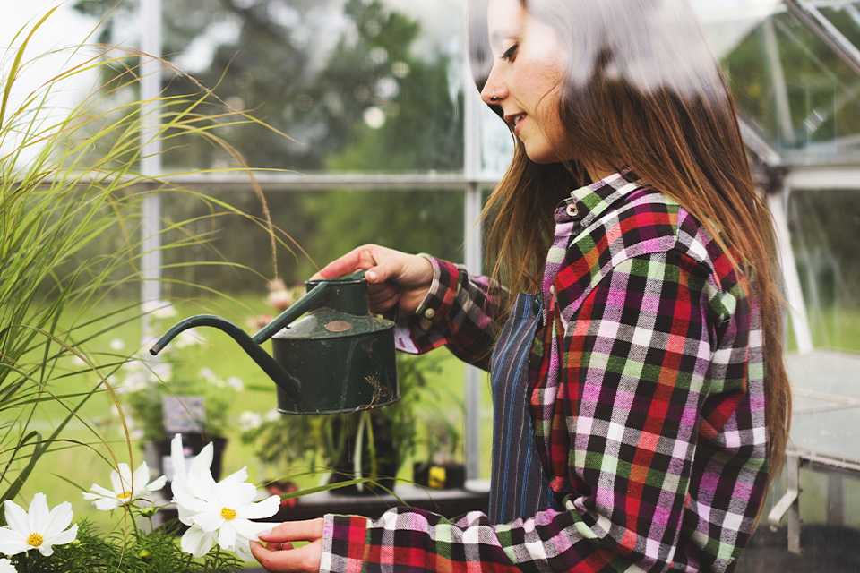 Woman watering plants in large greenhouse.