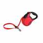 Dog collars and leads.