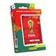 Panini stickers & cards