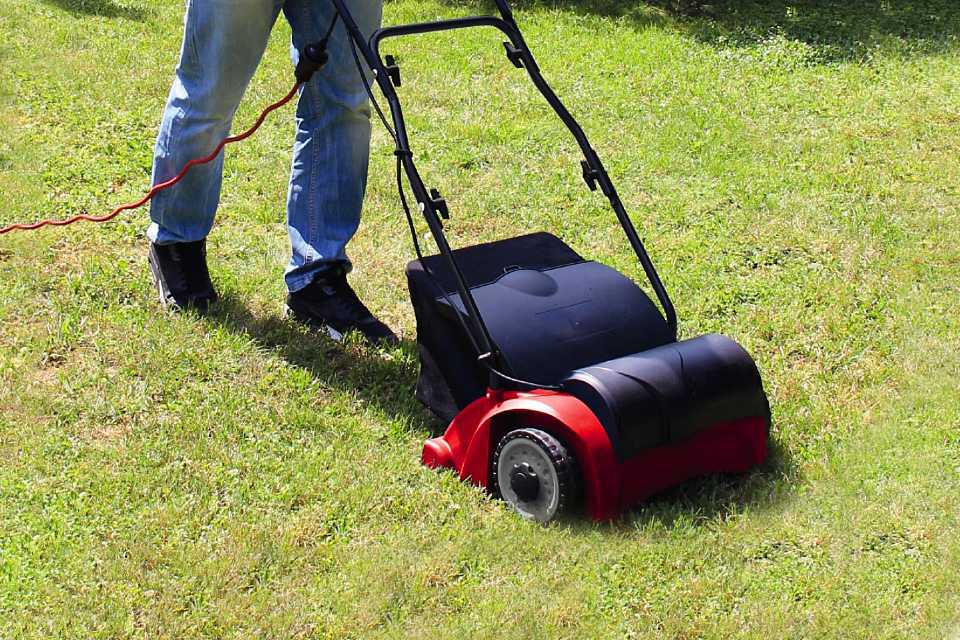 A person scarifying a lawn.