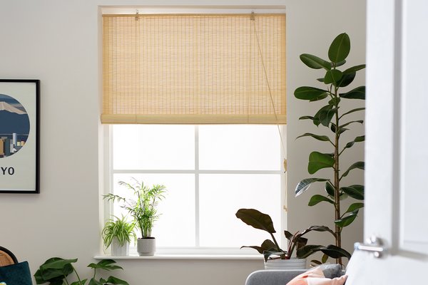 Habitat Daylight Bamboo Roller Blind - 2ft - Natural on a window next to some plants.