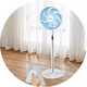 Pedestal fans.
