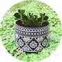 Pots & planters.