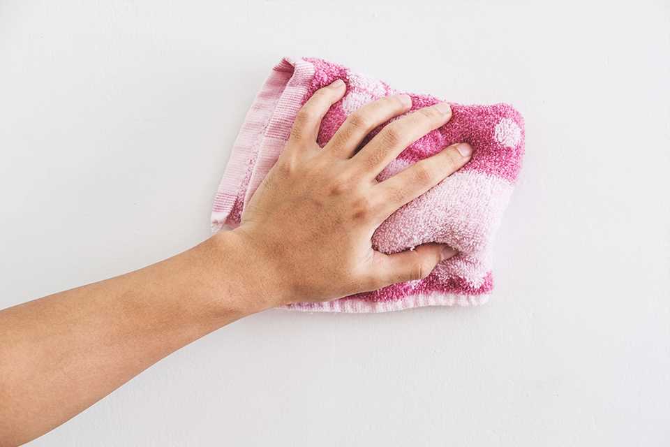 Person washing down wall with sponge.