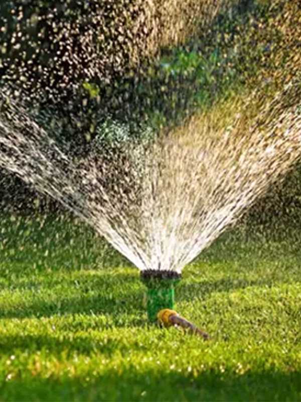 How to save water in your garden. Smart tools and tips to help you save water, and cut costs