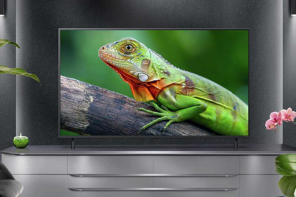 Score big savings with up to 20% off selected LG TVs and soundbars. Use codes LG10 and LG20.