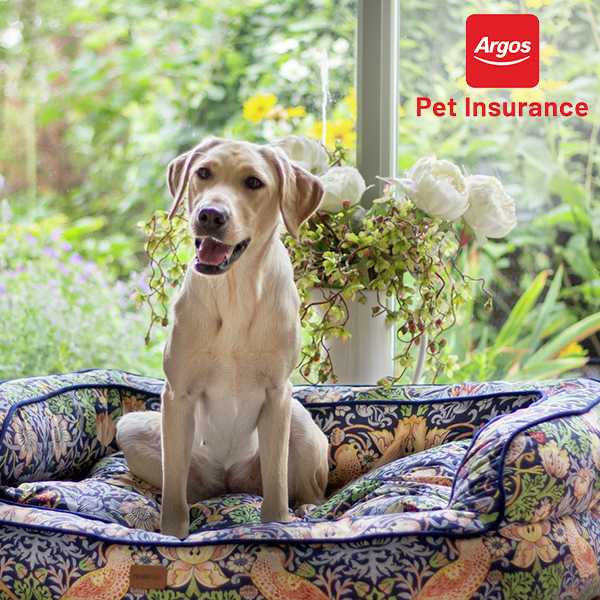 New to pet ownership? Check out our pet insurance - cover for when they unexpectedly need treatment. Provided by Pinnacle Insurance Limited.