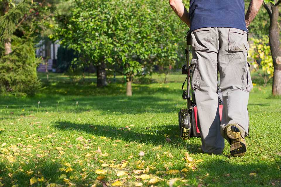 A person mowing a lawn during the fall.