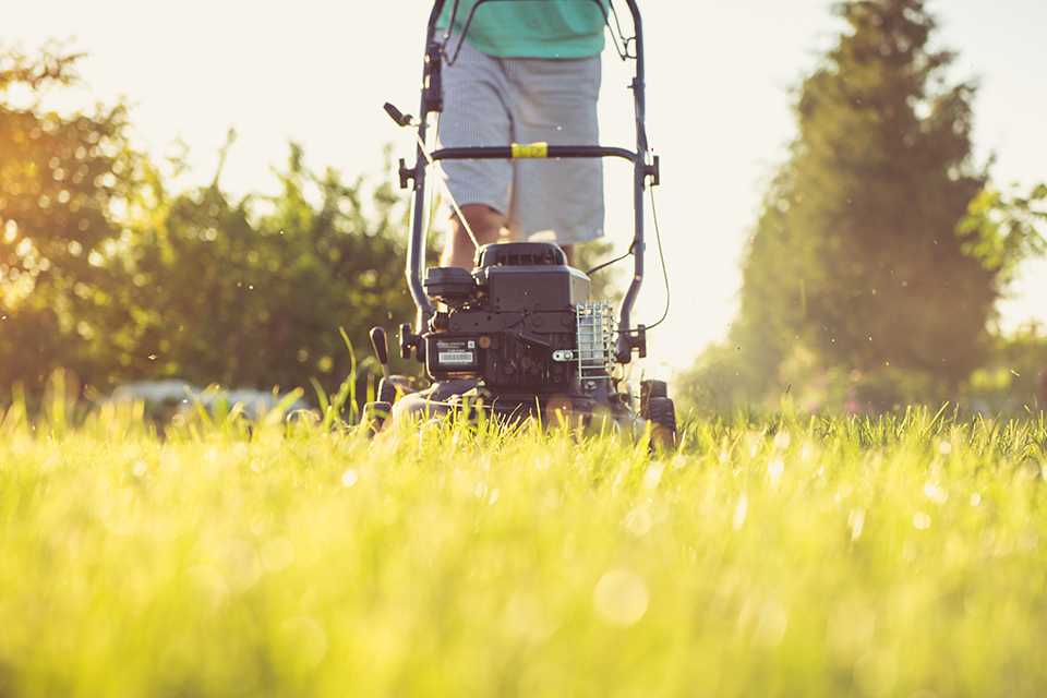 A person mowing a lawn in the daytime.