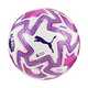 Footballs.
