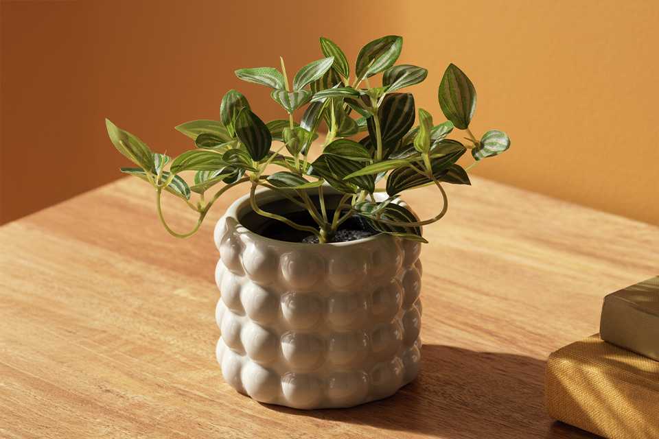 Habitat Artificial Green Small Trailing Plant.