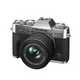 Mirrorless Cameras.