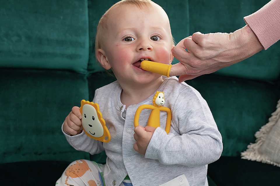 Matchstick Monkey Teething Set - Lion.