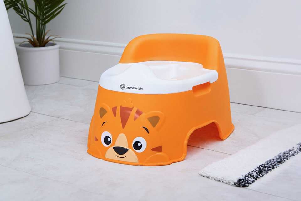 A Baby Einstein Tiger Potty.